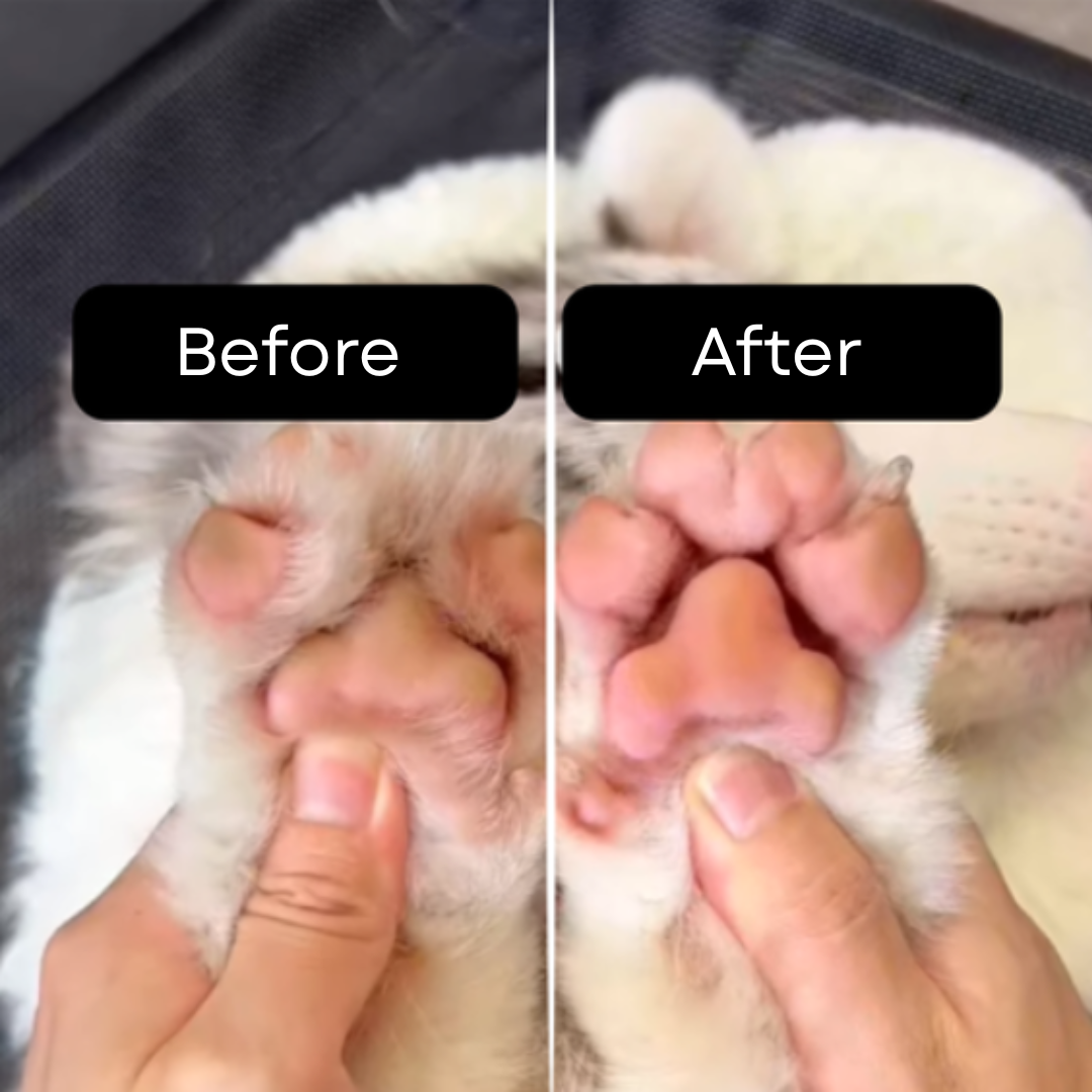 Pet MicroPrecision Trimmer
